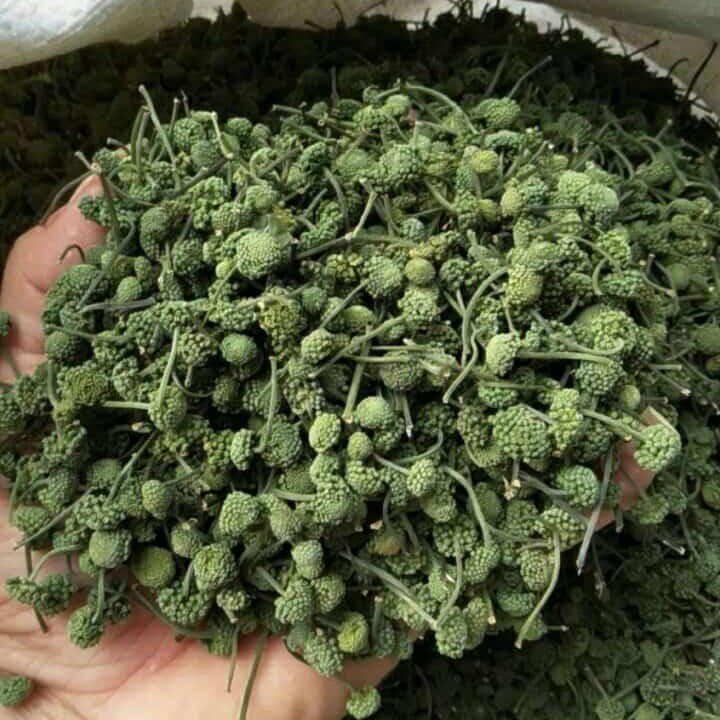 Dried Panax Notoginseng Flower – Herbal Tea & Medicinal Herb - Image 3