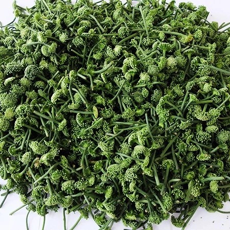 Dried Panax Notoginseng Flower – Herbal Tea & Medicinal Herb - Image 4