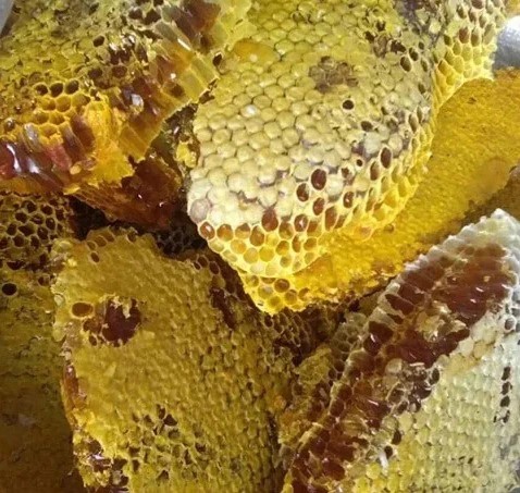Raw Wild Honey – Harvested from Natural Forests in Vietnam - Image 4